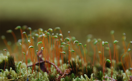 V3.0工藝-化纖梭織